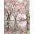 Pink Blossom Reflections by Studio Arts Canvas Art Print