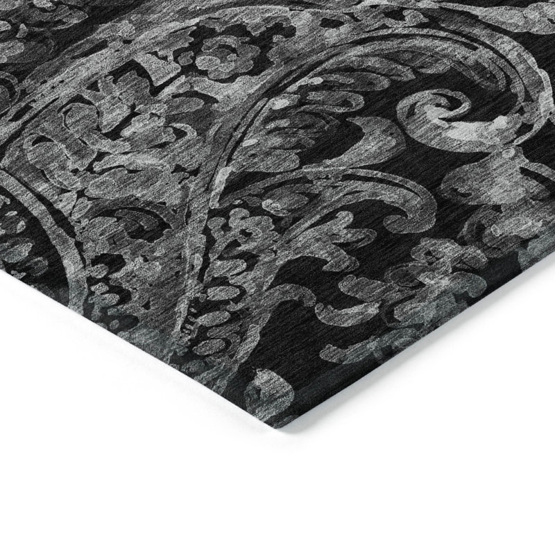 Shelsey Washable Paisley Indoor / Outdoor Rug, Rectangle 10' x 14'