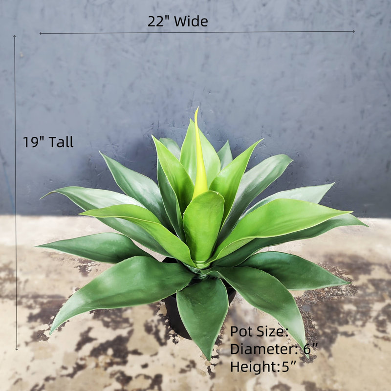 Agave artificielle Sansevieria