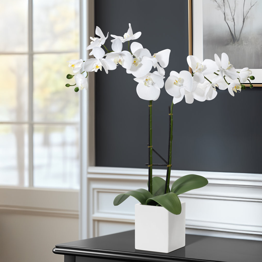 Anyssa 23'' Faux Flowering Plant in Ceramic Pot House of Hampton®