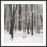 Snowscape 5 Print by Studio L57 Narrative