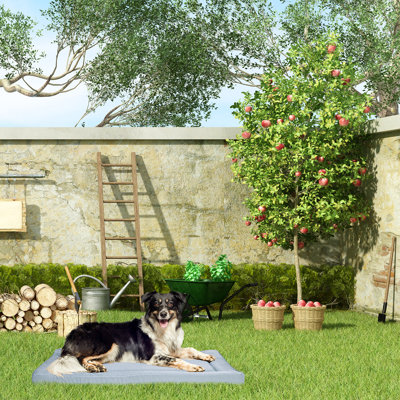 Brunelle Orthopedic Travel Cat & Dog Bed Crate Mat