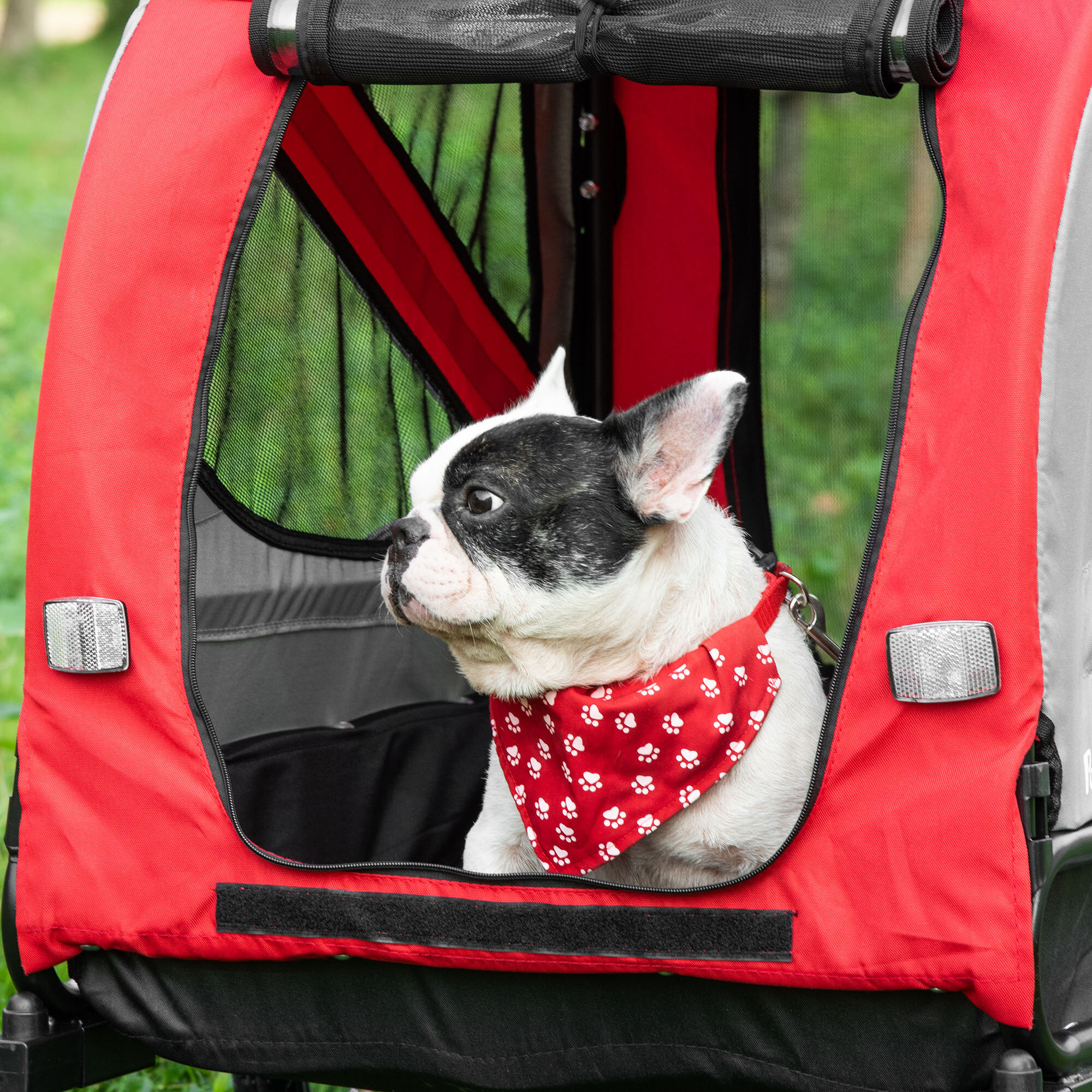 Large dog deals carrier for bike