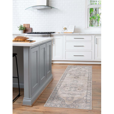 Cantey Oriental Indoor Rug