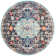 Andersonville Oriental Area Rug