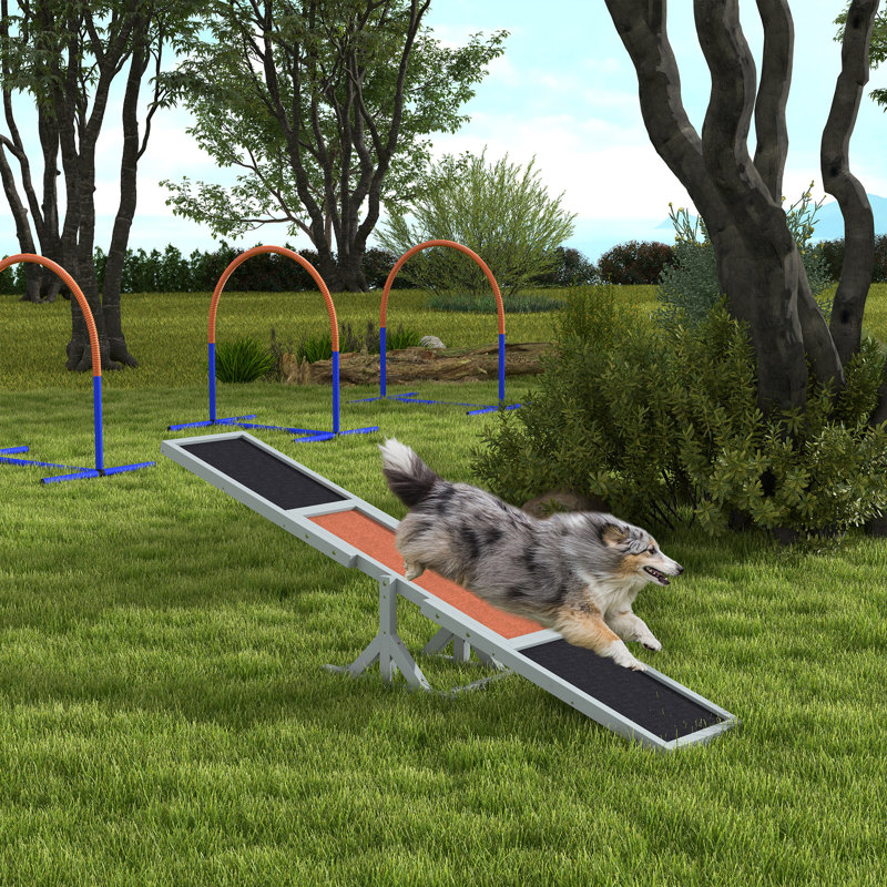 Balançoire à bascule en bois agile pour l'entraînement et l'exercice, jouet de jeu de plateforme, articles pour animaux résistants aux intempéries, L 71 po x l 12 po x H 12 po, gris