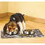 Napperon pour animal de compagnie, tapis d'alimentation pour chien et chat - Tissu absorbant, envers imperméable, antidérapant, lavable à la machine (Kahopo) (12 po x 20 po) (fabriqué aux États-Unis)-59762544