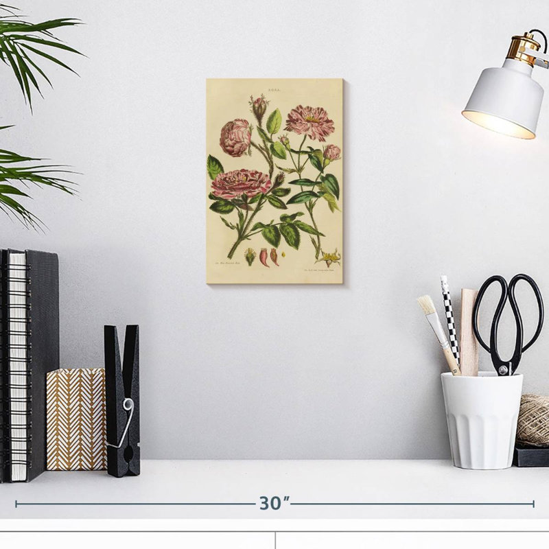 Harnek Herbal Botanical XVII, 12" H x 8" W