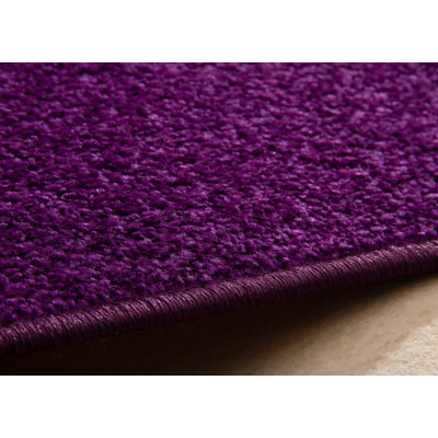 Arenberg Solid Colour Area Rug