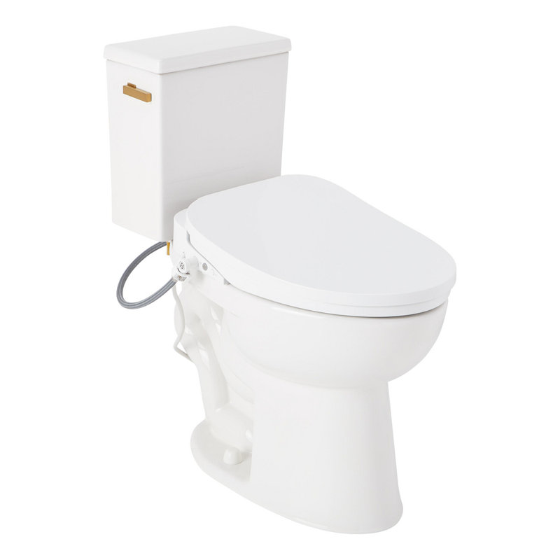 Lavrik Two-Piece Elongated Toilet with Reversible Tank - Bidet Seat  - Brushed Gold Handle, Brushed Gold
