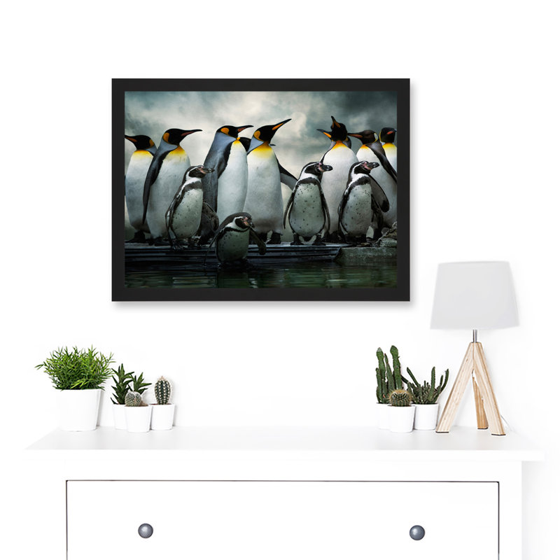 Emperor Penguin Birds Antarctic - Single Picture Frame Art Prints