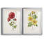 «Botanical III», ensemble de 2 reproductions d'impressions-568685776-568685778-568685780
