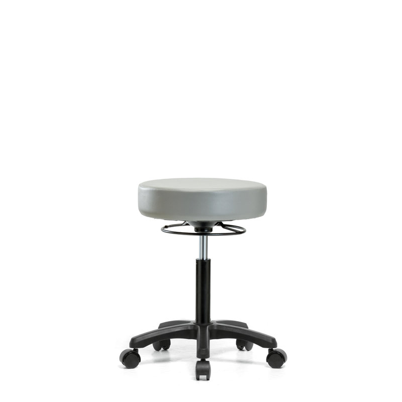 Kaiya Adjustable Height Lab Stool, Casters, Dove