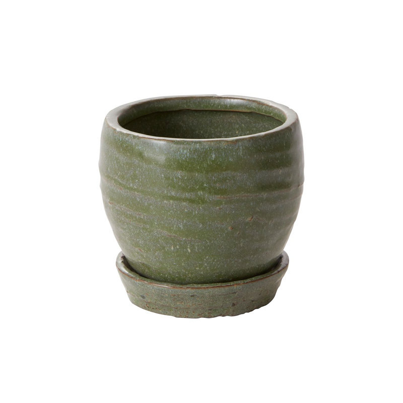 Pot à fleurs en céramique Helmuts Bradford, H 3,5 po x l 3,5 po x P 3,5 po, Vert