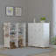 20 Pair Shoe Storage Cabinet
