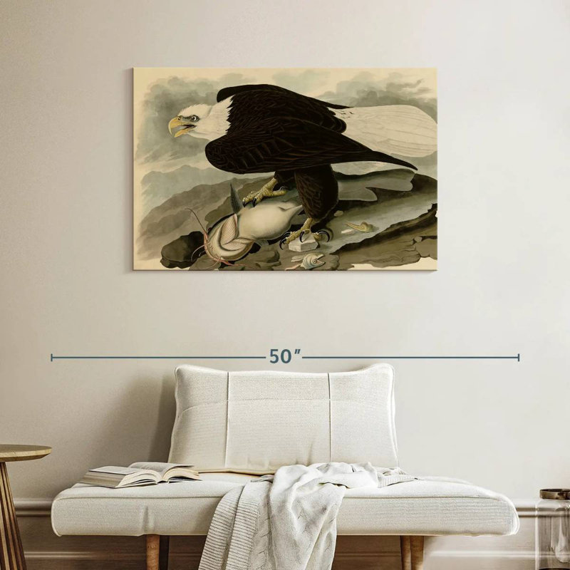 Brampt Whiteheaded Eagle, 26" H x 39" W