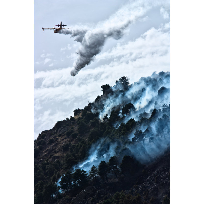 Firefighter Aircraft Throw Water - Wrapped Canvas Print, 46cm H x 30cm W x 3.8cm D