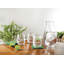 Cloud Carafe