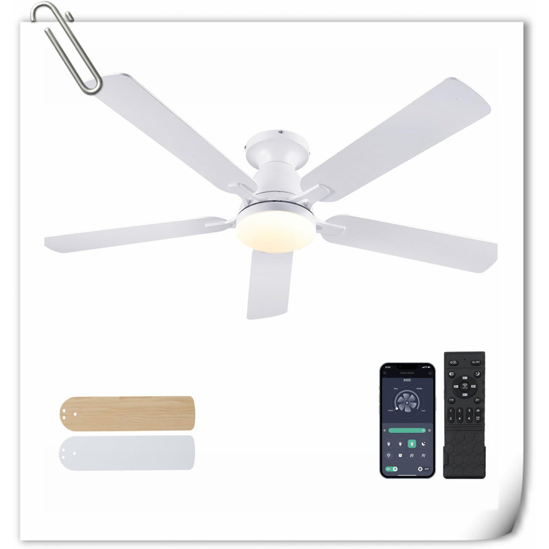 Museau Ceiling Fan with LED Lights
