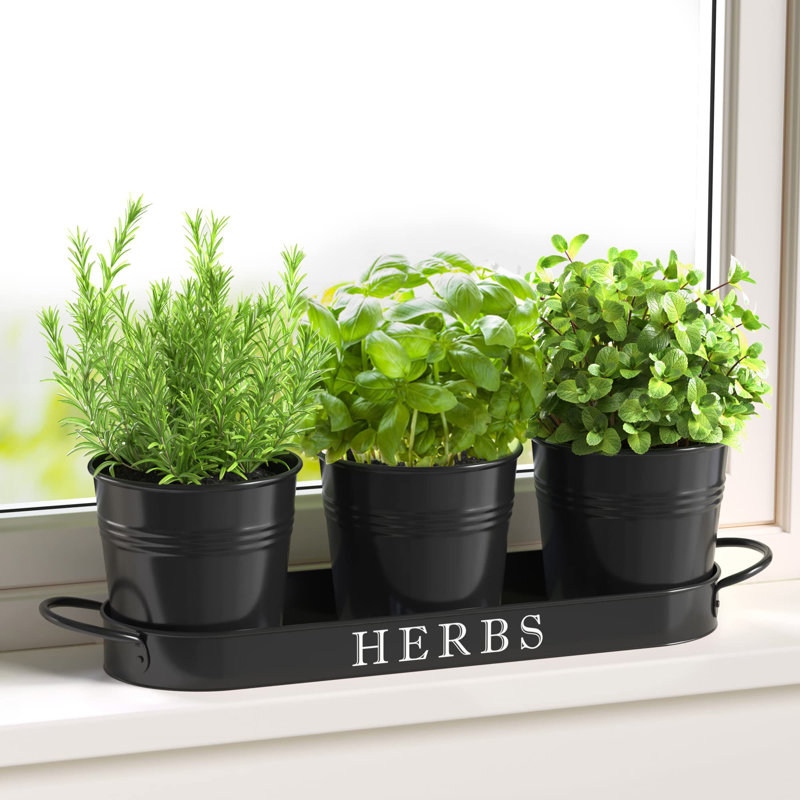 Ensemble de jardinières d'intérieur avec plateau, Noir, noir, noir, noir
