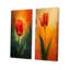 Ensemble de 2 tulipes rouges et vertes éclatantes-1074739752-1074739753-1074739765