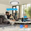 1-Light Flush Mount
