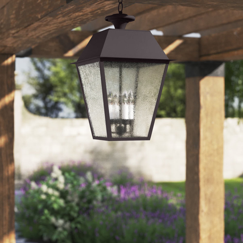 Arnetria 4 - Light Outdoor Hanging Lantern, Bronze