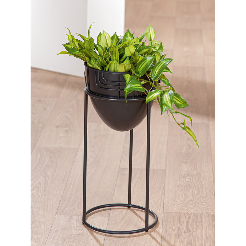 Alfredine Plant Stand, 50cm H x 24cm W x 24cm D
