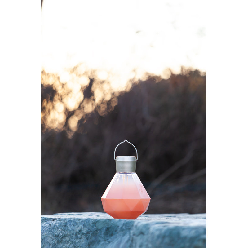 Bahama Coral Solar Powered Outdoor Hanging Light with Edison Bulb