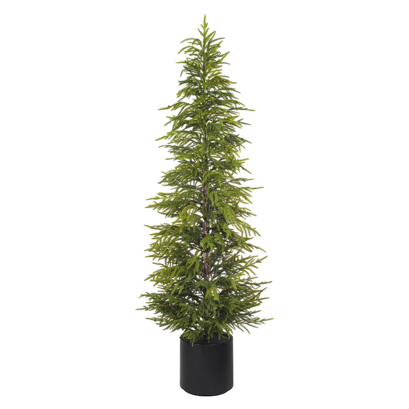 Pine Christmas Tree, 6