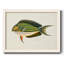 «Tropical Fish Collection I», reproduction sur toile-96286221-96286222