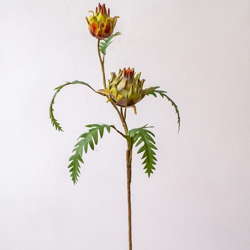 Tige de fleur d'artichaut dans un vase, 3 pièces