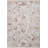 Oriental Area Rug in Silver/Sunset-68848990
