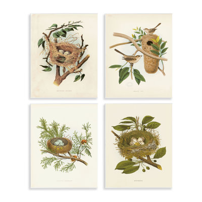  «Bird Nest Forest Study» par Tina Higgins Designs, Inc.