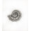 Tropical 3/2" Length Snail Novelty Knob