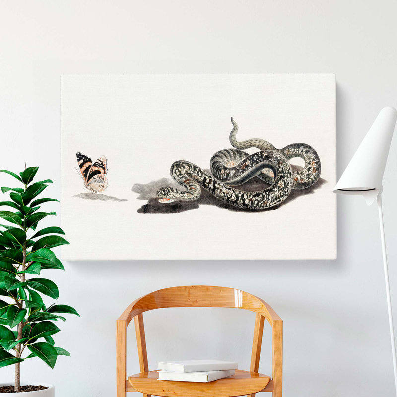 Snake And Butterfly by Johan Teyler - Wrapped Canvas, 40cm H x 60cm W x 3cm D