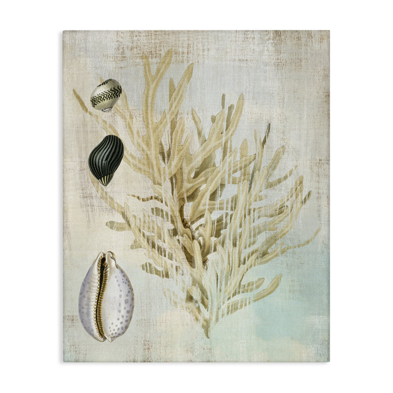 Branche de corail et toile de coquillages, par Susan Arnot, H 20 po x l 16 po