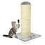Evelynn Scratching Post