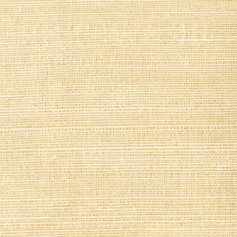 Amias Grass Cloth Roll