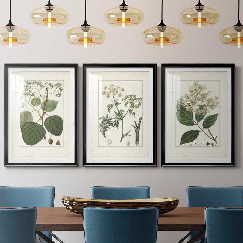 Antique Turpin Botanical IV - reproduction sur mesure encadrée de qualité supérieure - 3 pièces, H 15 po x l 19 po, Noir