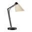 Reach 21.9" Desk Lamp-524582149-524582144