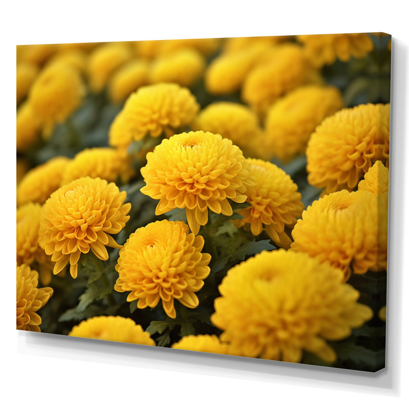 «Yellow Mums in Bloom I» sur toile, Toile tendue, H 16 po x l 32 po x P 1 po