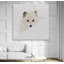 «Arctic Fox», reproduction de photo-33511649-32971782