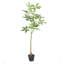Eucalyptus artificiel en pot-111988974