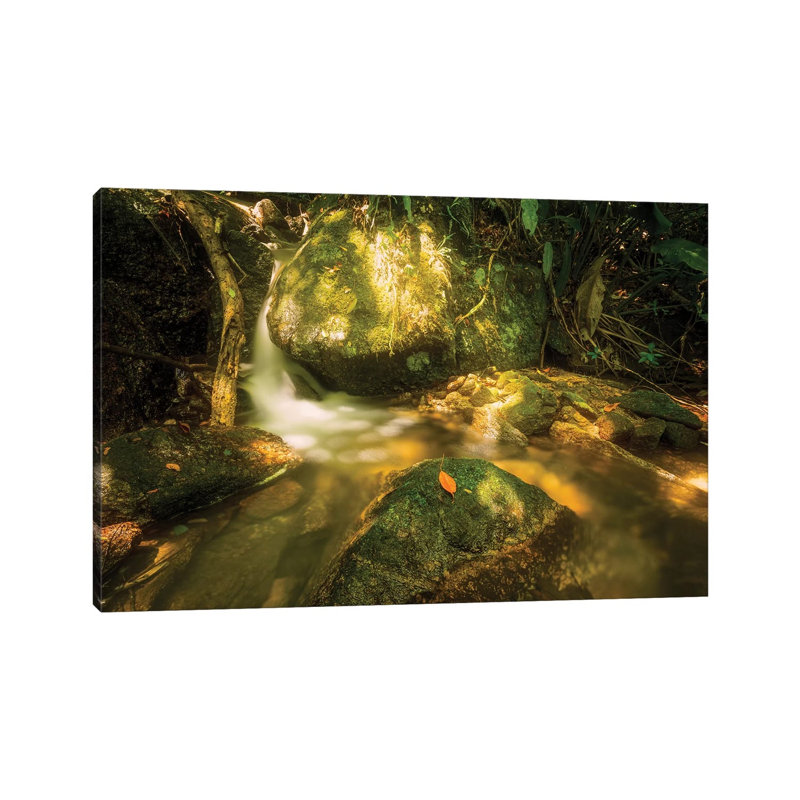 Tropical Forest XVII by Glauco Meneghelli - Wrapped Canvas Print, 20.32cm H x 30.48cm W x 1.905cm D