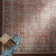 Colin Machine Washable Traditionnal Boho Area Rug