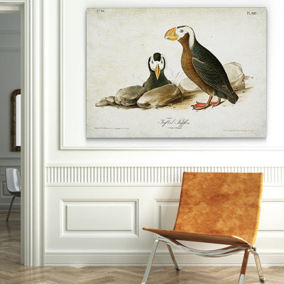 « volière plate viiii », impression