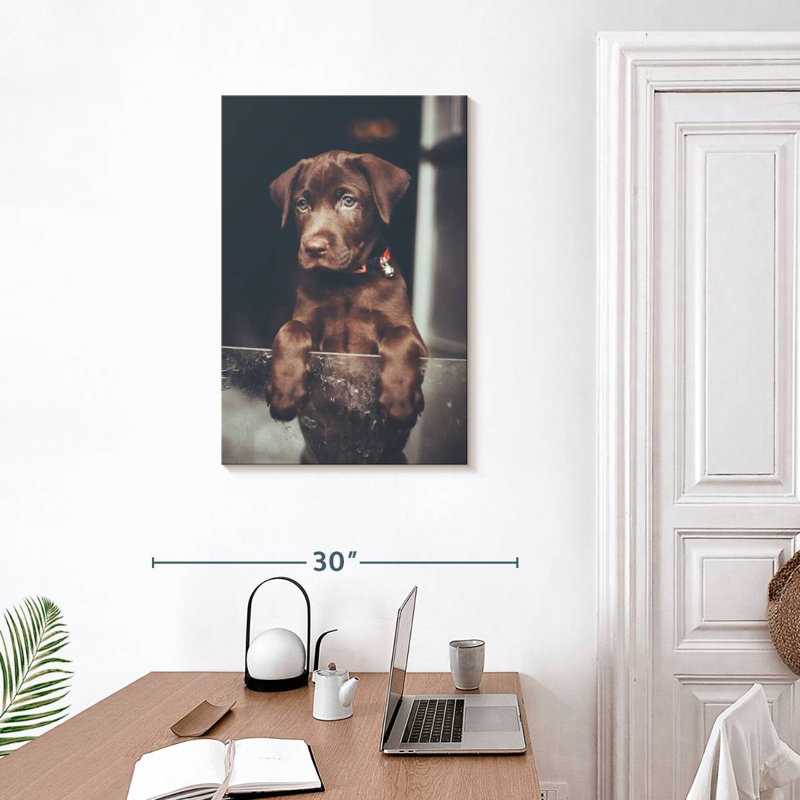 Brampt Chocolate Labrador Puppy, 30" H x 20" W