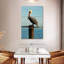 Bramican pelican d'extérieur-108545416