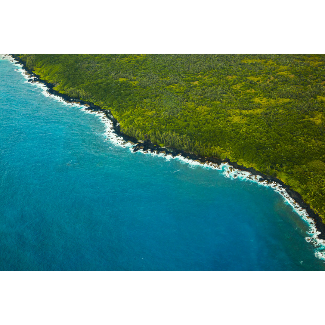 Schwarzes Vulkangestein in der Nähe von Hilo, Hawaii von JamesBrey - Kunstdrucke ohne Rahmen auf Leinwand